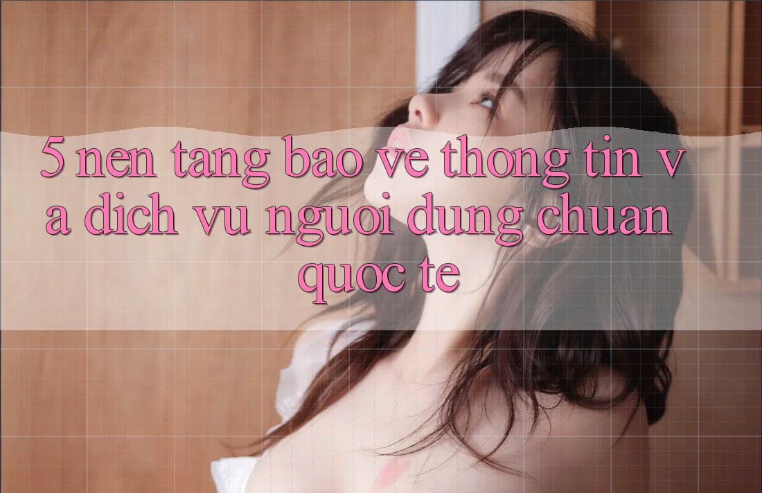 5. Nền tảng Bảo vệ thông tin Và Dịch Vụ Người dùng Chuẩn Quốc Tế 5. Nền tảng Bảo vệ thông tin Và Dịch Vụ Người dùng Chuẩn Quốc Tế