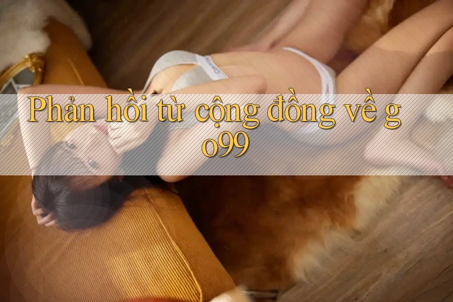 Phản hồi từ cộng đồng về go99