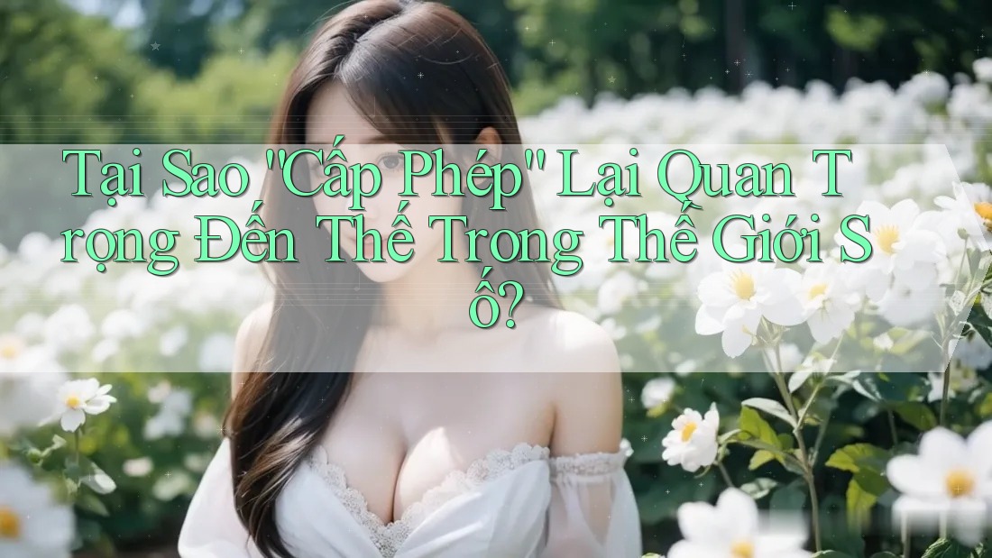 Tại Sao “Cấp Phép” Lại Quan Trọng Đến Thế Trong Thế Giới Số?