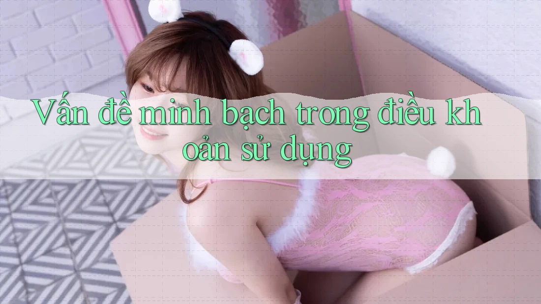 Vấn đề minh bạch trong điều khoản sử dụng Vấn đề minh bạch trong điều khoản sử dụng