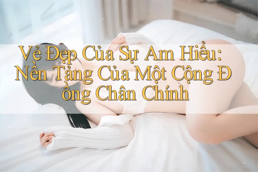 Vẻ Đẹp Của Sự Am Hiểu: Nền Tảng Của Một Cộng Đồng Chân Chính